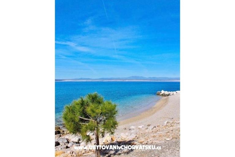 Apartmaji Luka – foto 15