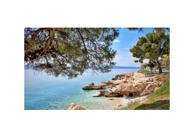 Apartmaji Luka – foto 9