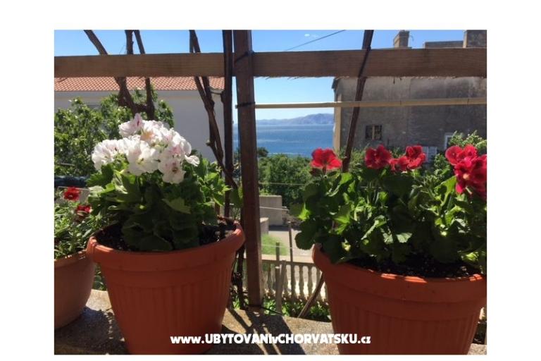 Apartmaji Marijana – foto 17