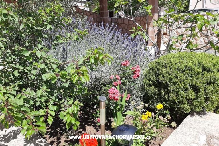 Apartmaji Pavelić – foto 6
