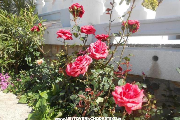 Apartmaji Pavelić – foto 8