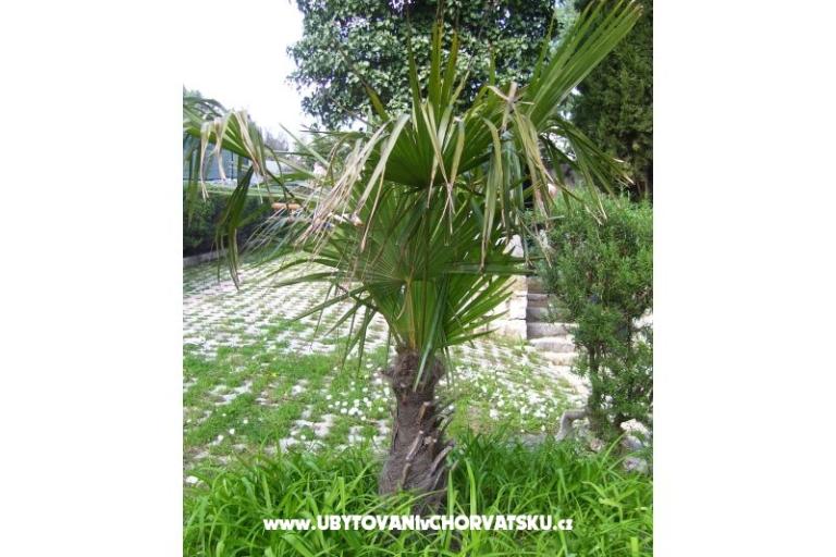 Apartmaji   Zdenka  – foto 16