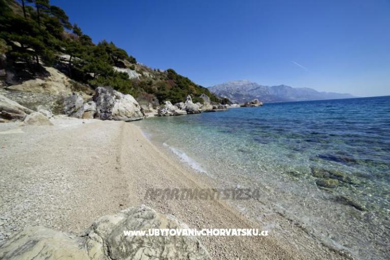 Apartmaji 1234 – foto 10