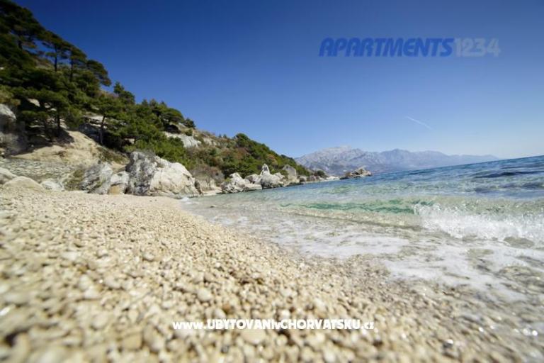 Apartmaji 1234 – foto 11