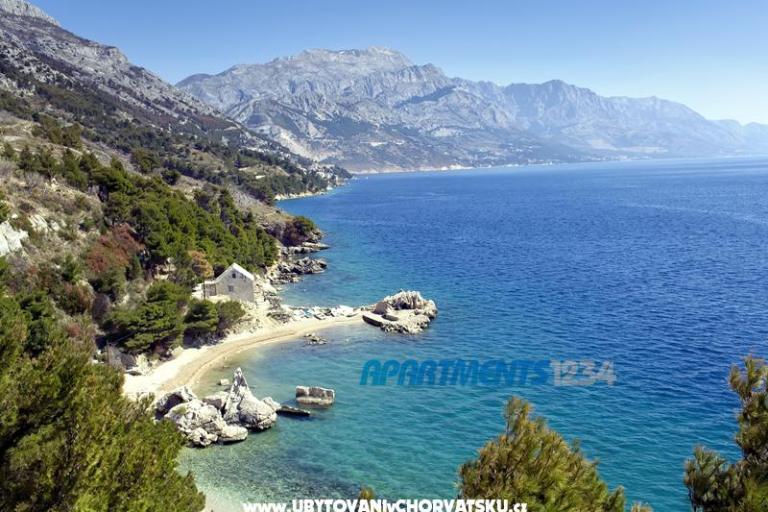 Apartmaji 1234 – foto 7