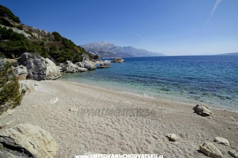Apartmaji 1234 – foto 8