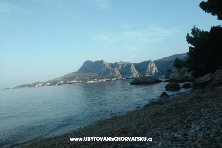 Apartma 1 – foto 5