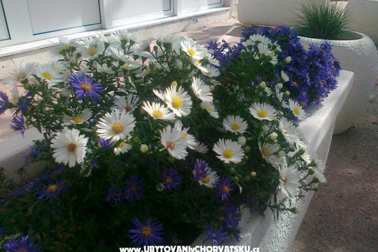 Apartma ANKA S. – foto 8