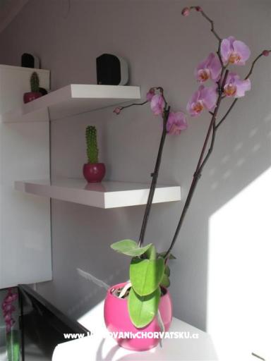 Apartma Ivančica – foto 3