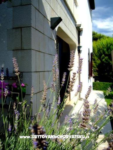 Apartma Mimice – foto 2