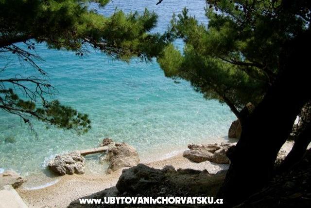 Apartma Mimice – foto 7