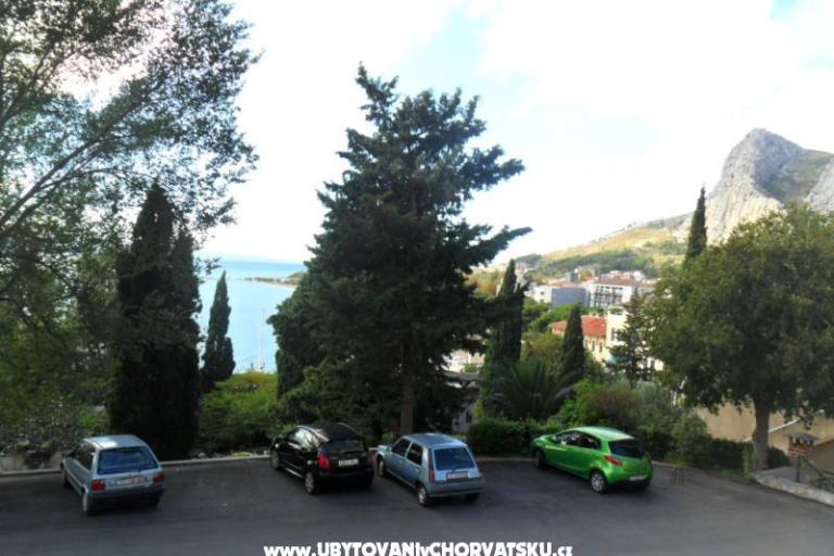 Apartma Popović – foto 9