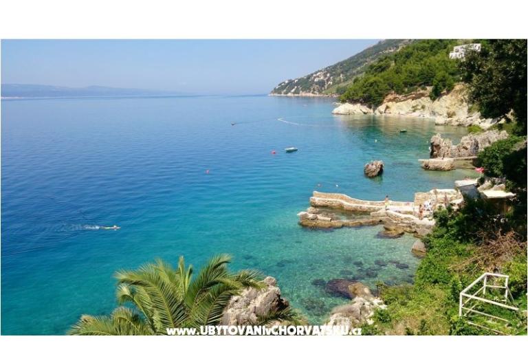 Počitniški dom na plaži - Robinson – foto 16