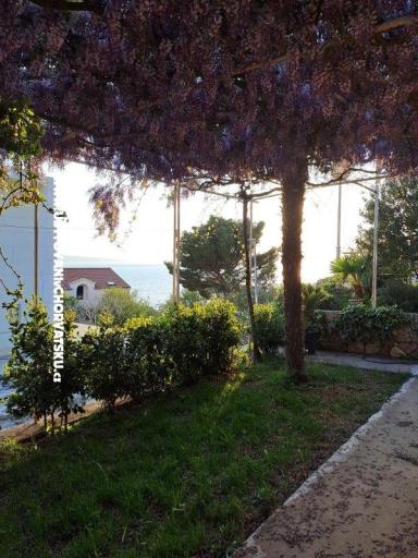 Apartmaji AGAVA – foto 27