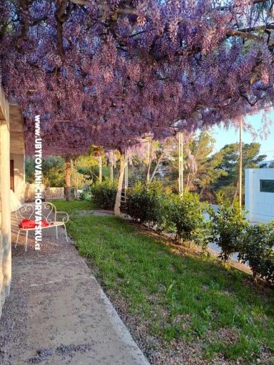 Apartmaji AGAVA – foto 28