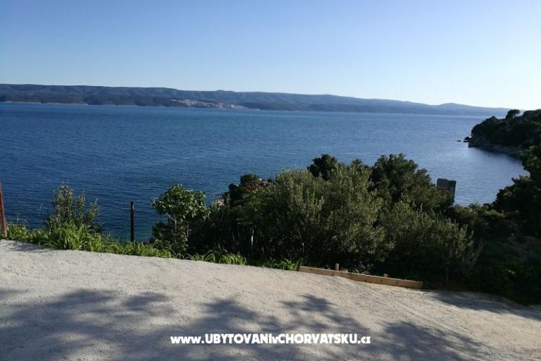 Apartmaji Vila ALEN – foto 11