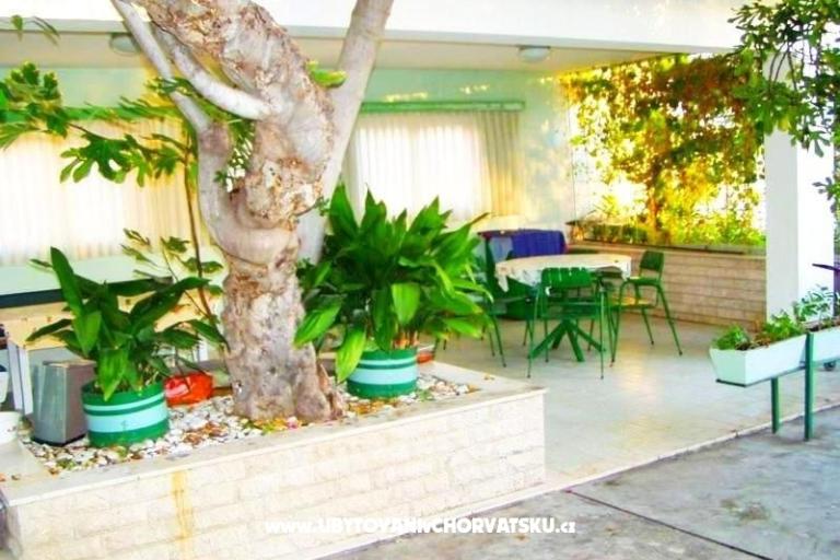 Apartmaji Ana – foto 4