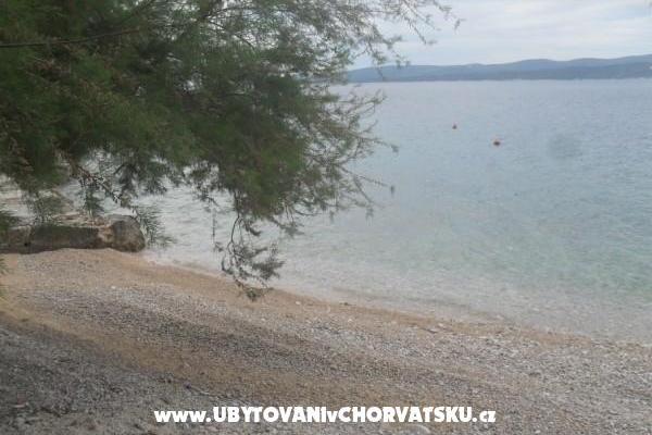 Apartmaji Ante & Kate Kovacic – foto 5