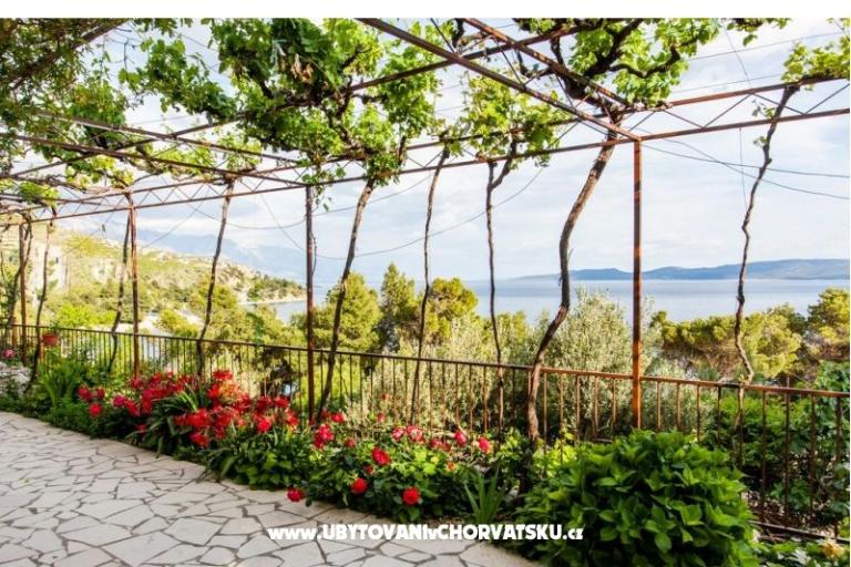 Apartmaji Blaženka Kovačić – foto 7
