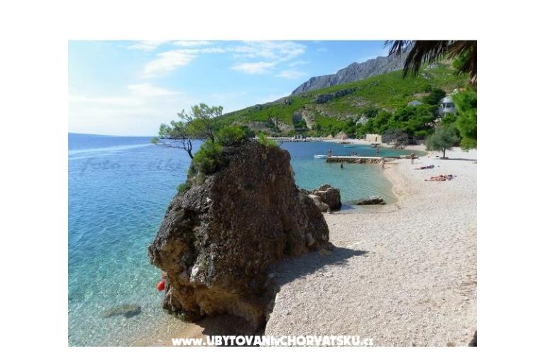 Apartmaji Čikeš - Medići – foto 9