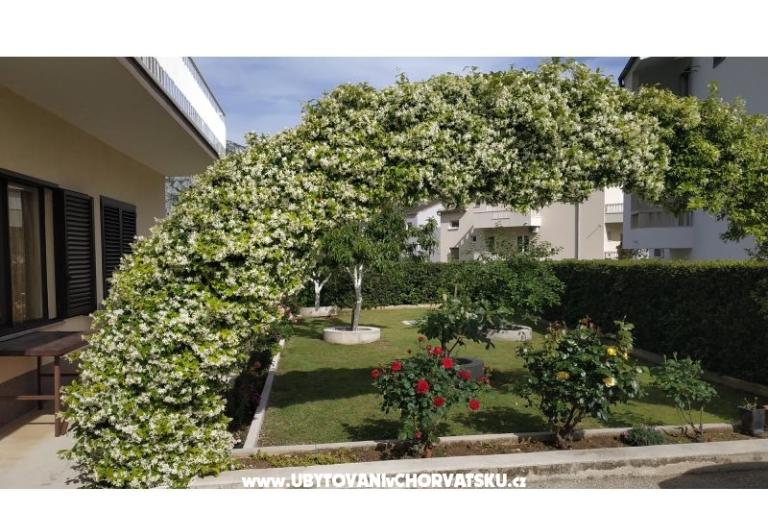 Apartmaji Danica – foto 5