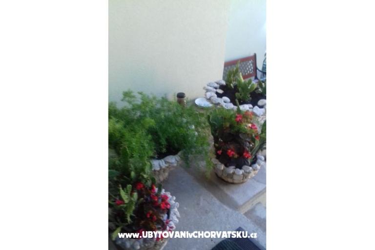 Apartmaji Draga – foto 10