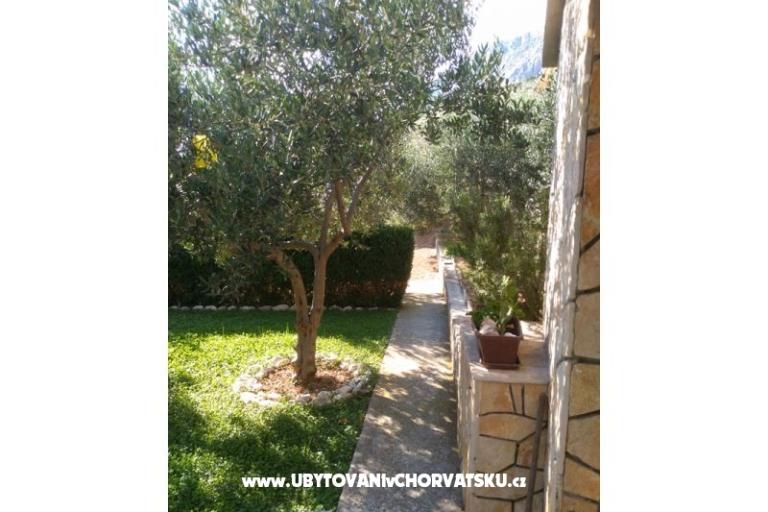 Apartmaji Draga – foto 7