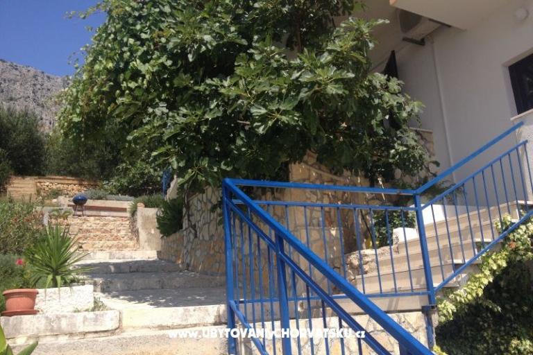 Apartmaji Dragana – foto 14