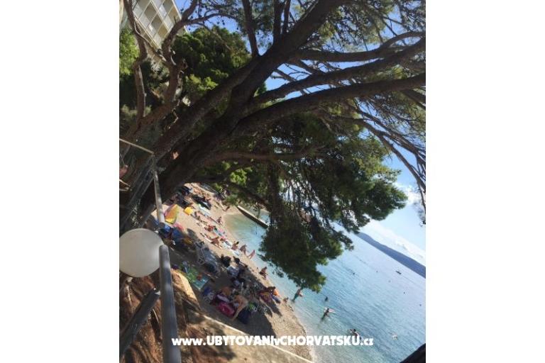 Apartmaji Iko – foto 18