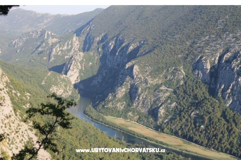Apartmaji Bašić – foto 18