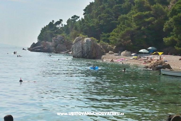 Apartmaji Juričić Pisak – foto 17