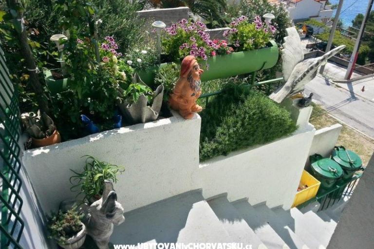 Apartmaji Juričić Pisak – foto 2
