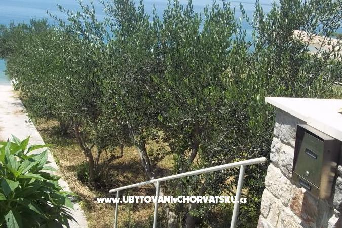 Apartmaji Kalajžić – foto 10