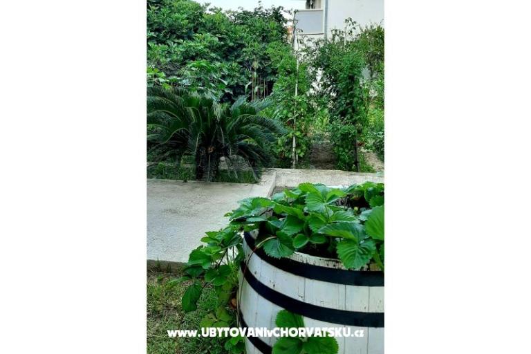 Apartmaji Martić – foto 7