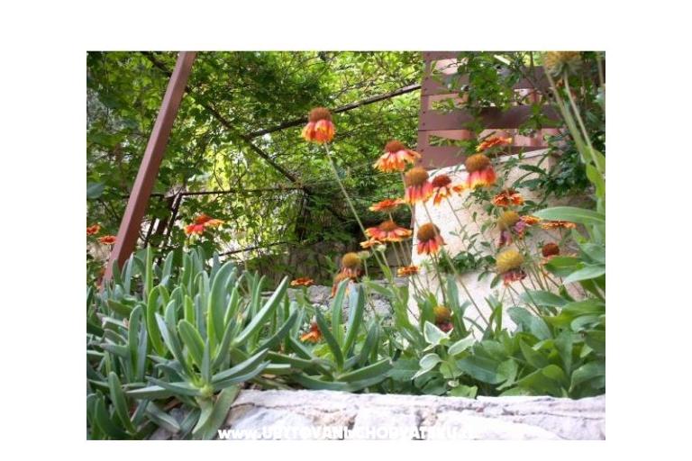 Apartmaji Mirjana – foto 11