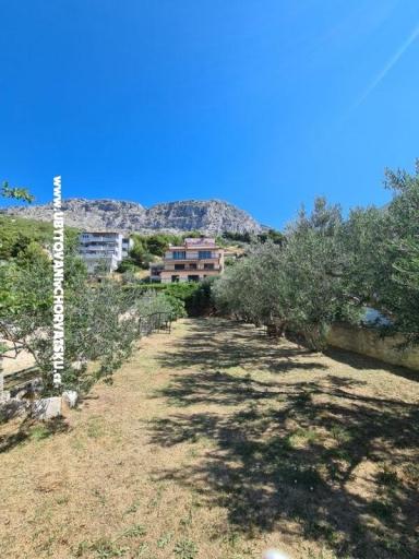 Apartmaji Miro, Duće – foto 4