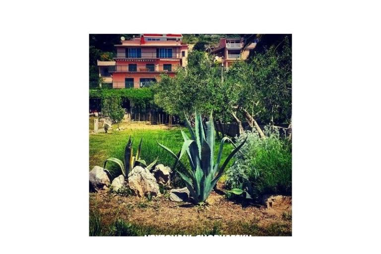 Apartmaji Miro, Duće – foto 7