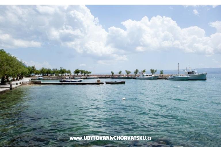 Apartmaji Pavlović Duće – foto 13