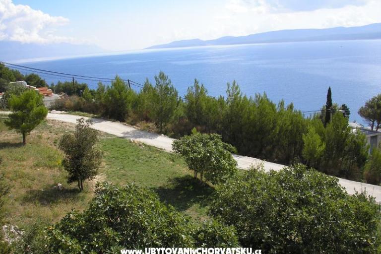Apartmaji Stipe – foto 10