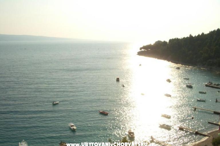 Apartmaji Velika Luka – foto 8