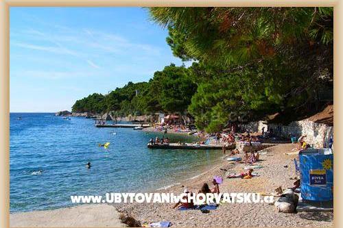 Apartmaji Villa Roza – foto 15