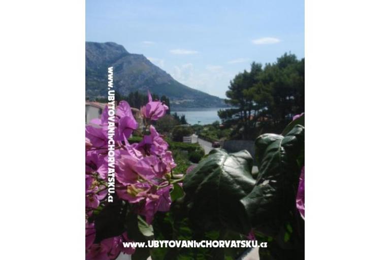 Apartmaji Vinka Saric – foto 2