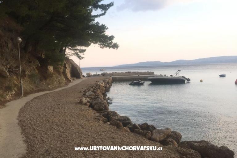 Apartmaji Visnjica – foto 11