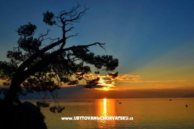 Apartmamate omiš – foto 17