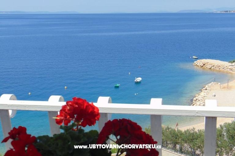 Apartma Zivkovic – foto 10