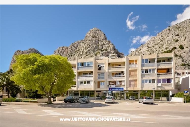 Apartma Tina – foto 10