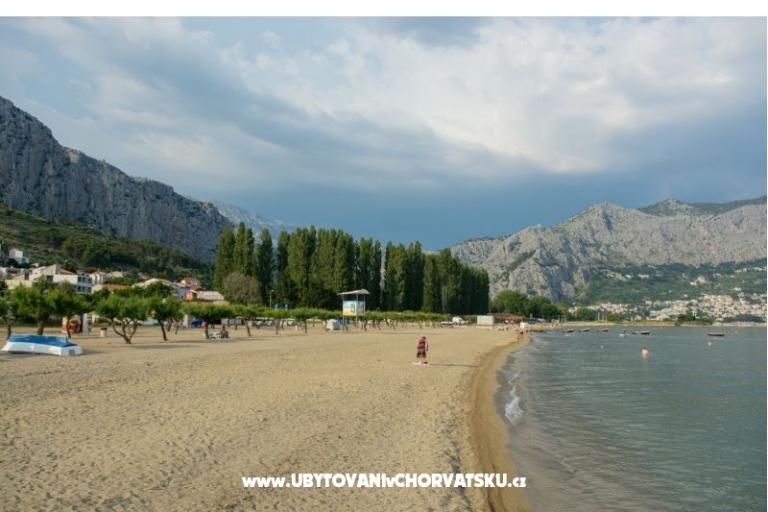 Apartma Ankorica – foto 6