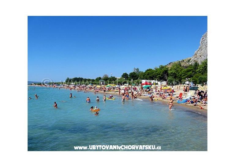Apartma Roza – foto 12