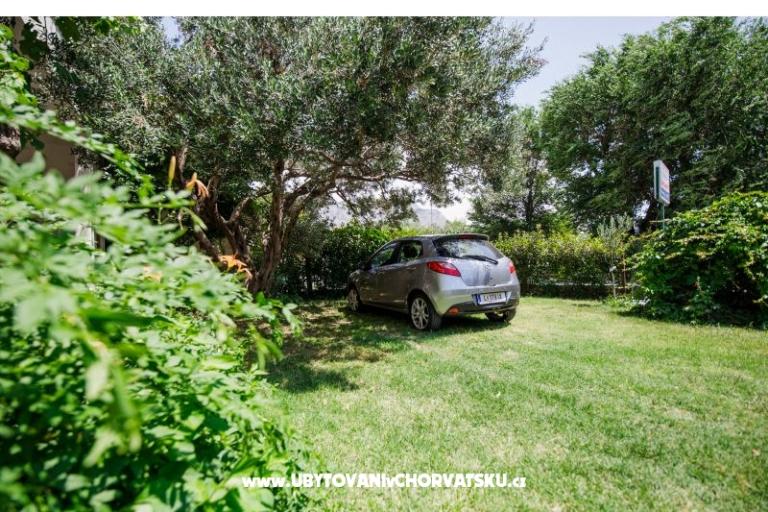 Apartmaji Diridonda – foto 12