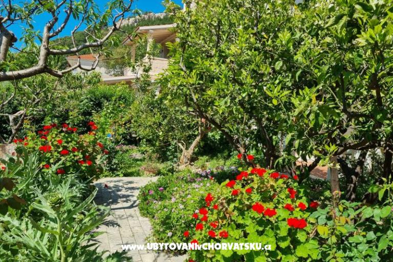 Apartmaji Diridonda – foto 43